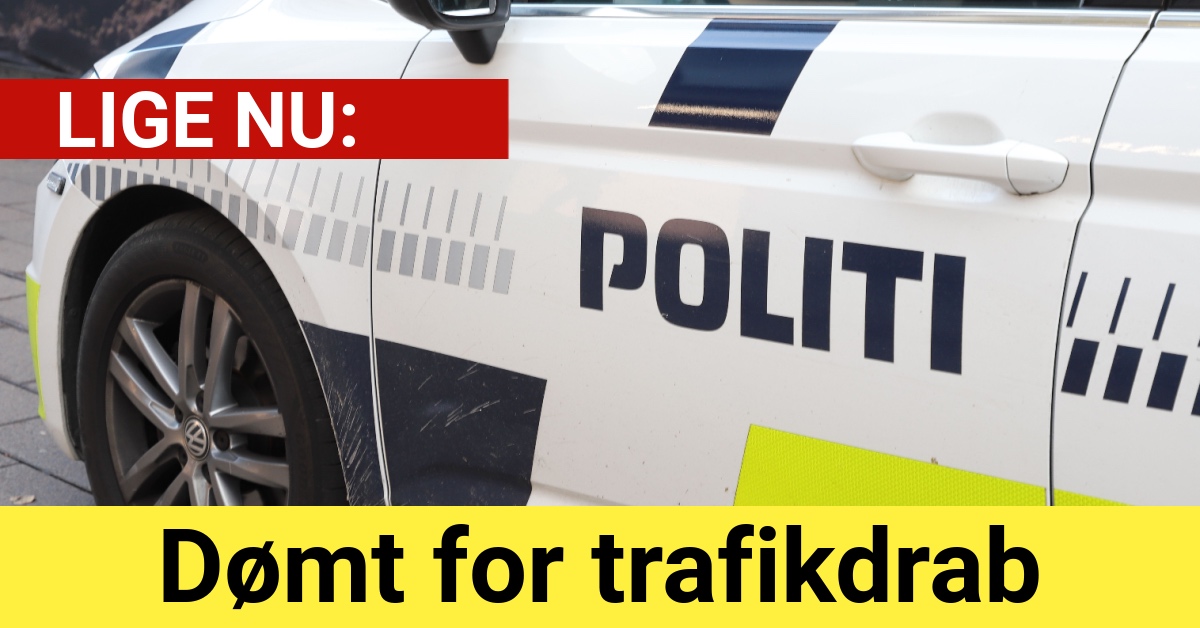 Dømt for trafikdrab