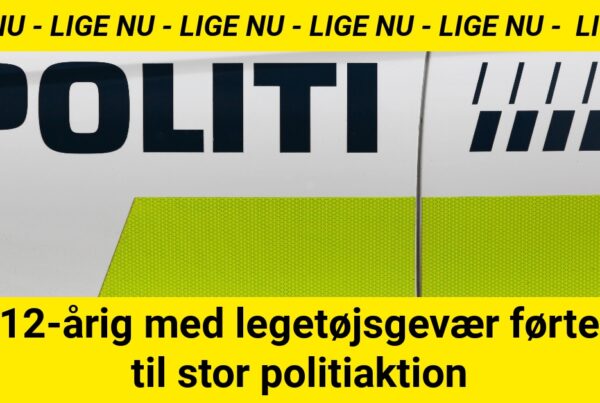 12-årig med legetøjsgevær førte til stor politiaktion