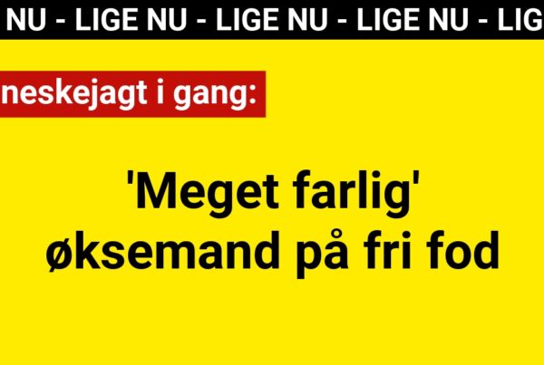Menneskejagt i gang: 'Meget farlig' øksemand på fri fod