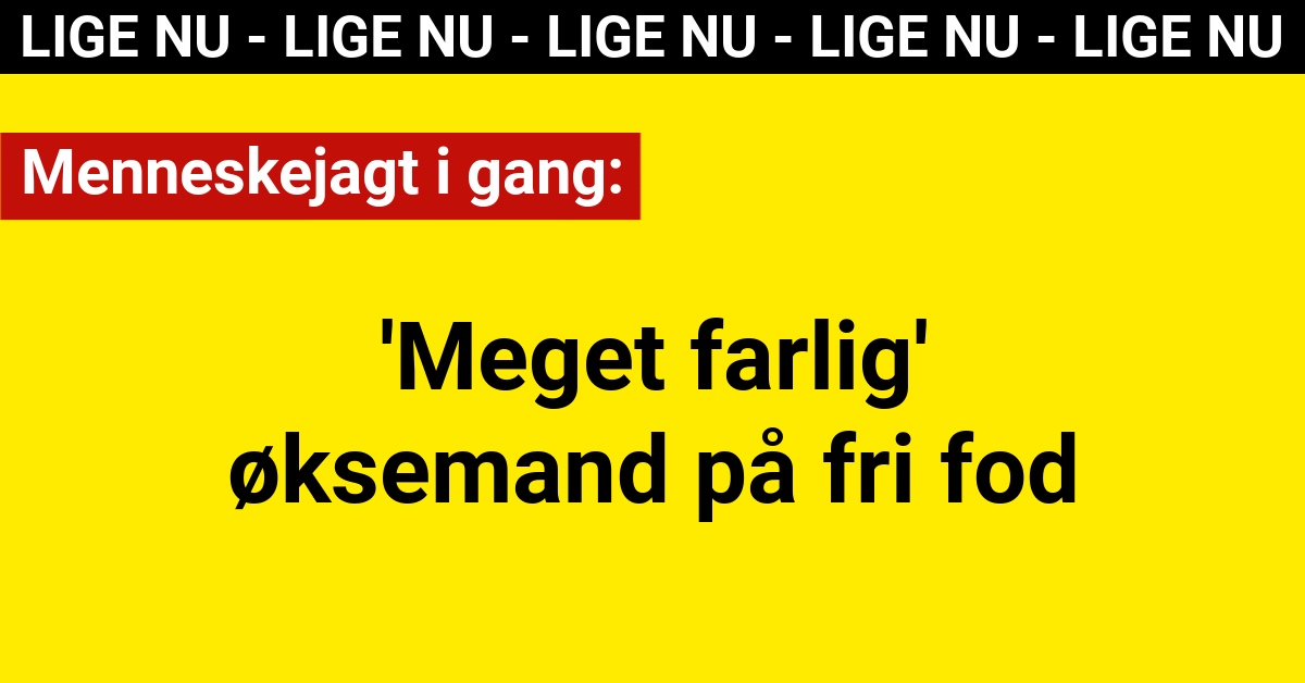 Menneskejagt i gang: 'Meget farlig' øksemand på fri fod