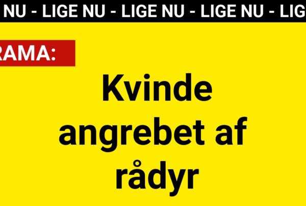 DRAMA: Kvinde angrebet af rådyr