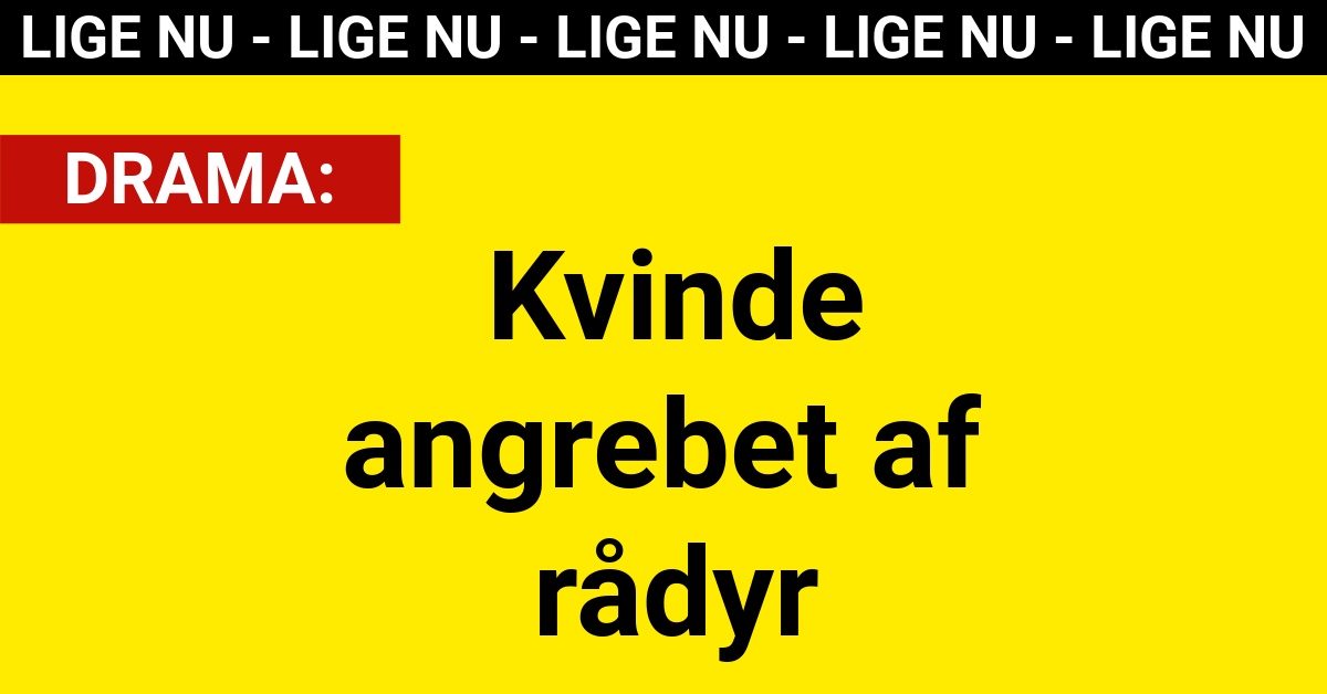 DRAMA: Kvinde angrebet af rådyr