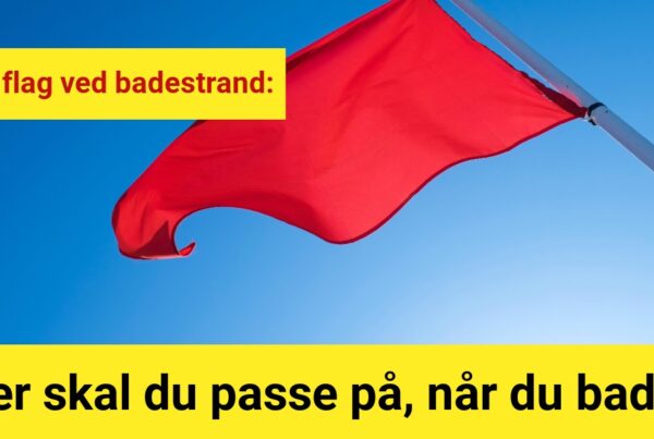 Rødt flag ved badestrand: Her skal du passe på, når du bader