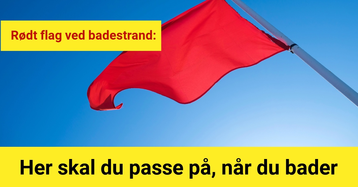 Rødt flag ved badestrand: Her skal du passe på, når du bader