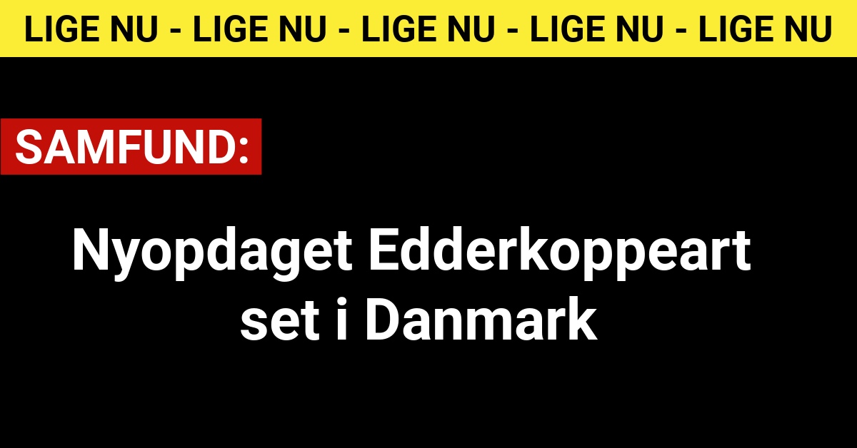 Nyopdaget Edderkoppeart set i Danmark