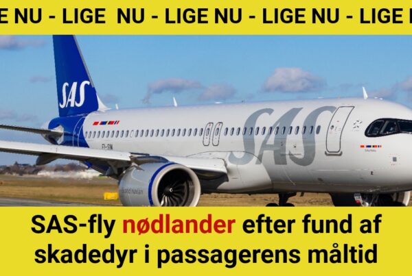 SAS-fly nødlander efter fund af skadedyr i passagerens måltidSAS-fly nødlander efter fund af skadedyr i passagerens måltid