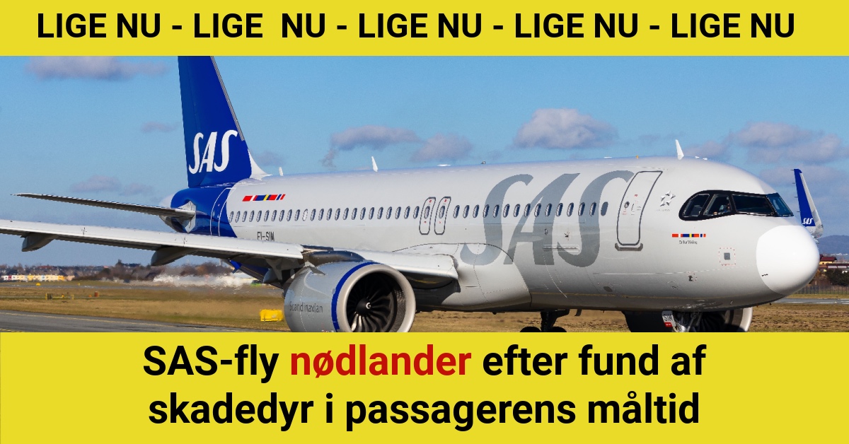 SAS-fly nødlander efter fund af skadedyr i passagerens måltidSAS-fly nødlander efter fund af skadedyr i passagerens måltid