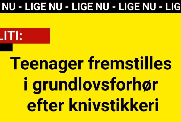 Teenager fremstilles i grundlovsforhør efter knivstikkeri