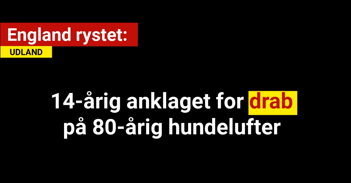 14-årig anklaget for drab på 80-årig hundelufter