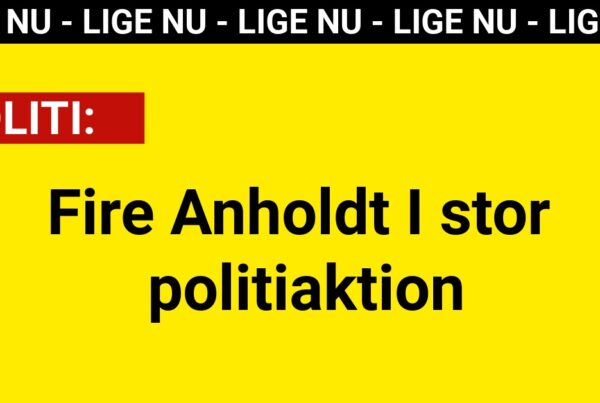 Fire Anholdt I stor politiaktion