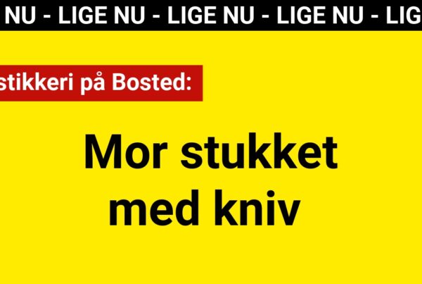 Knivstikkeri på Bosted: Mor stukket med kniv