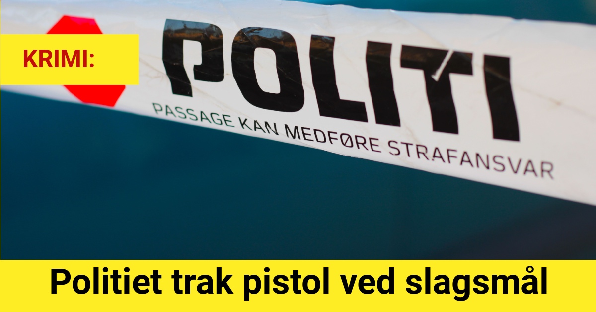 Politiet trak pistol ved slagsmål - Krimi