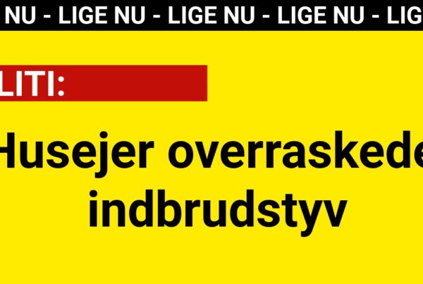 Husejer overraskede indbrudstyv