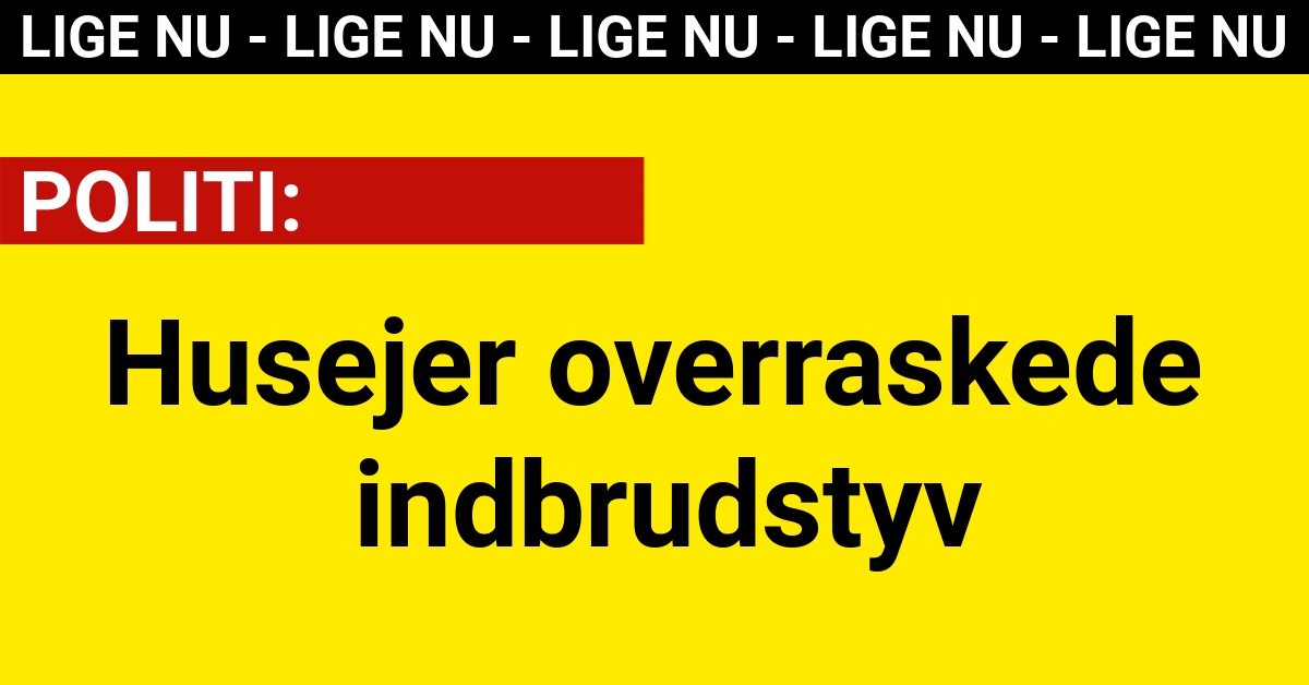 Husejer overraskede indbrudstyv