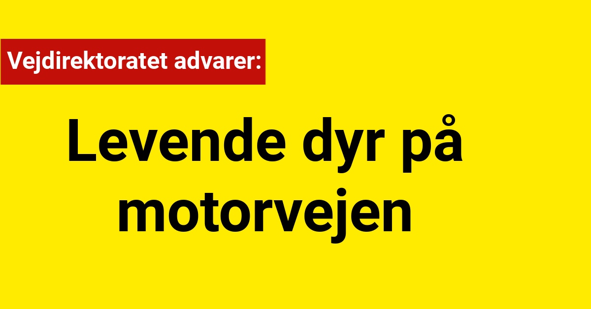 Vejdirektoratet advarer: Levende dyr på motorvejen