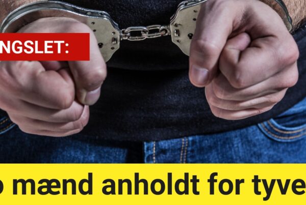 To mænd anholdt for tyveri