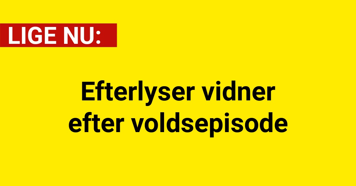 Efterlyser vidner efter voldsepisode