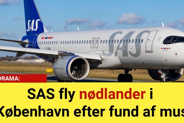 DRAMA: SAS fly nødlander i København efter fund af mus