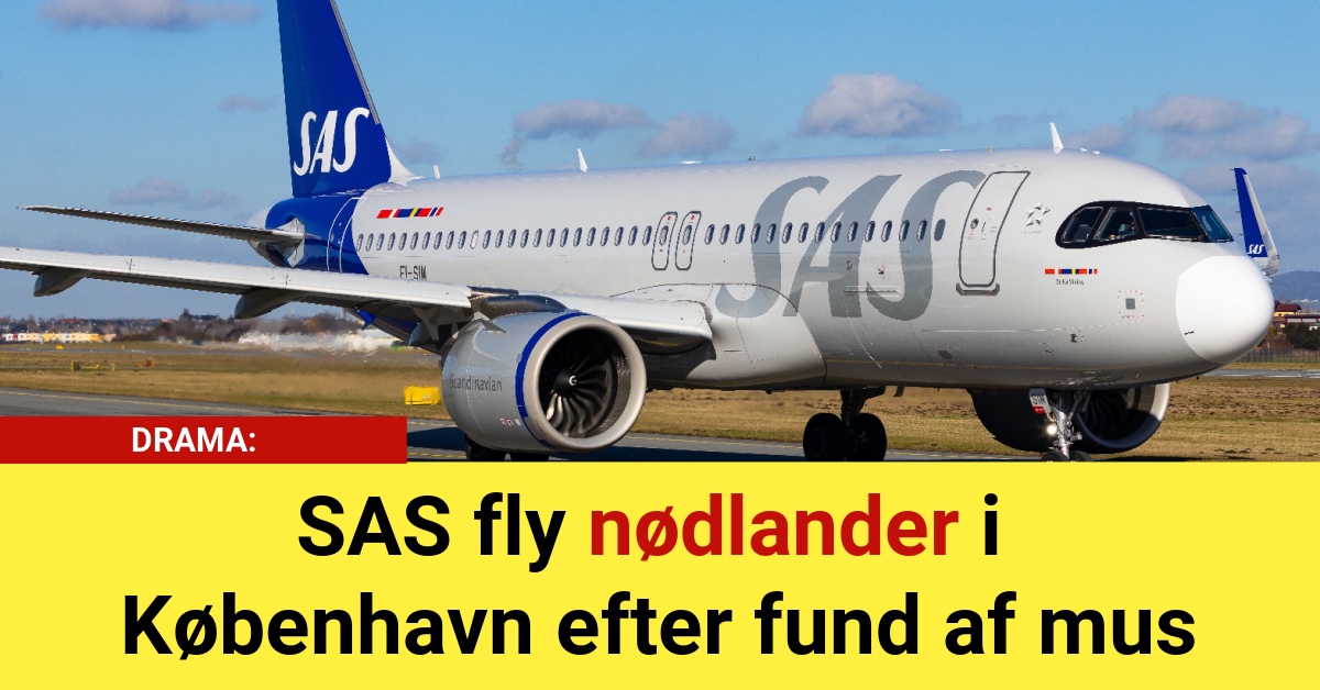 DRAMA: SAS fly nødlander i København efter fund af mus