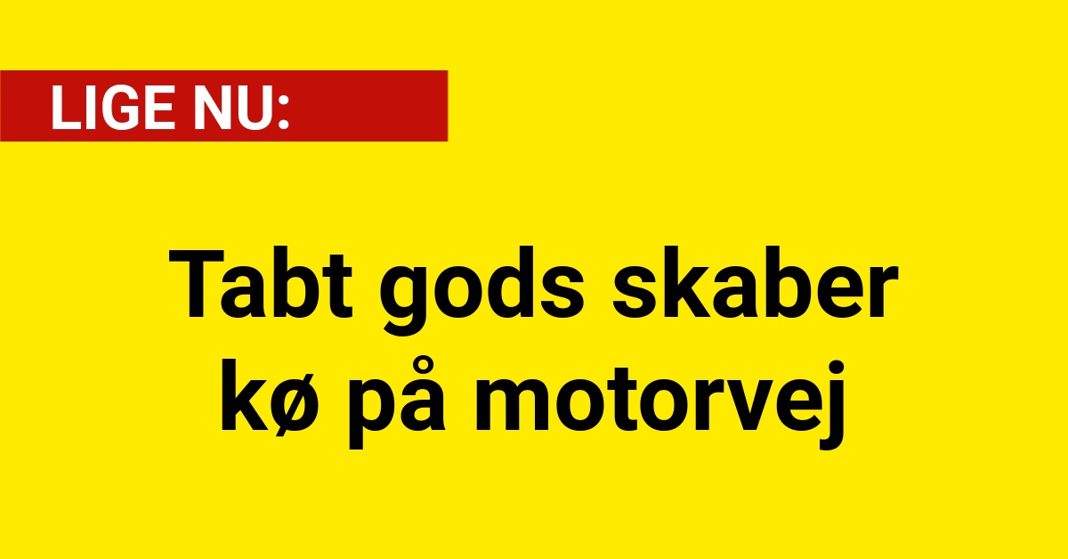 Tabt gods skaber kø på motorvej