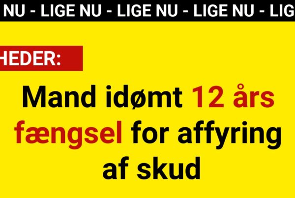 Mand idømt 12 års fængsel for affyring af skud