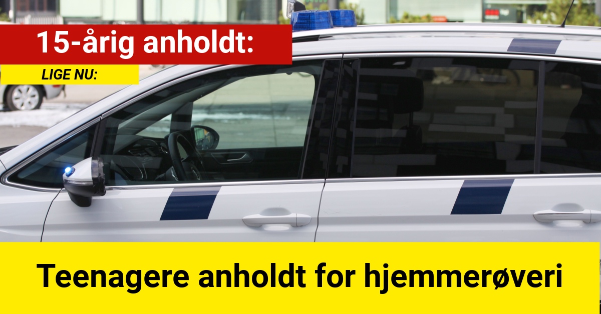 Teenagere anholdt for hjemmerøveri - Krimi