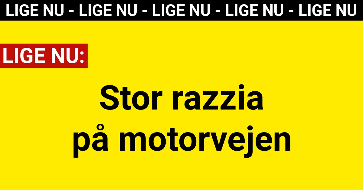 Stor razzia på motorvejen