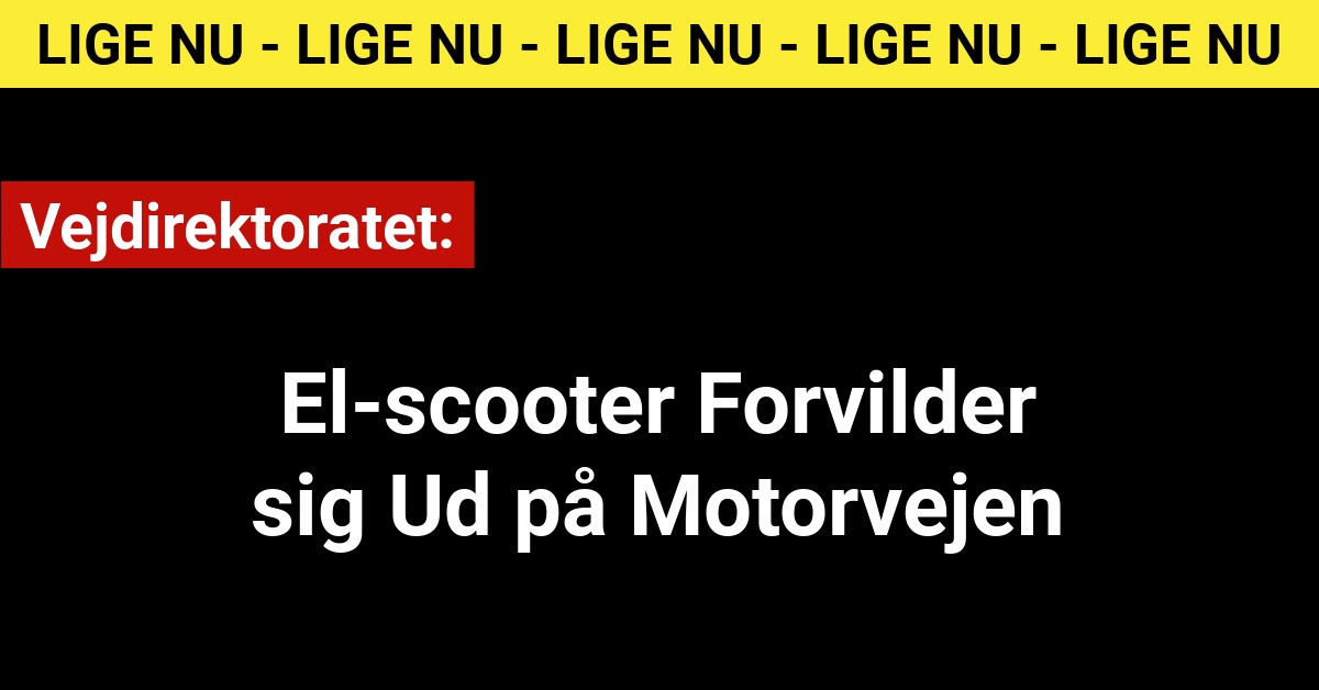 Vejdirektoratet