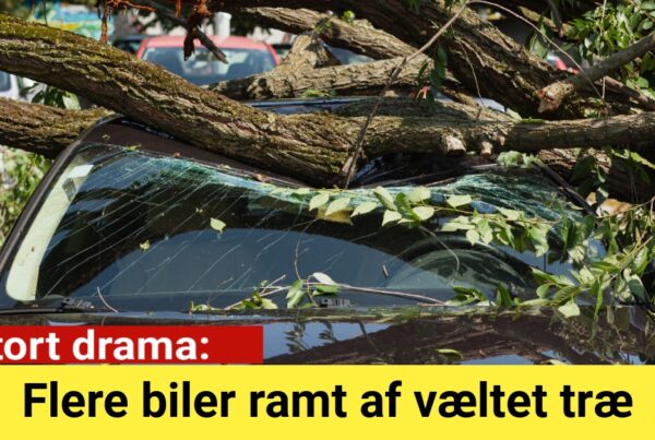 Stort drama: