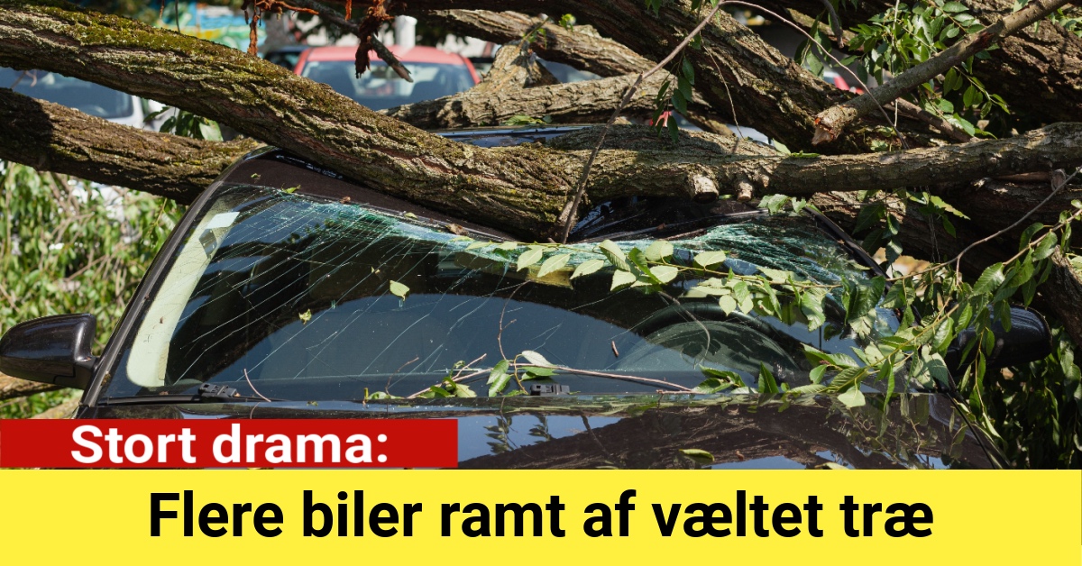 Stort drama: