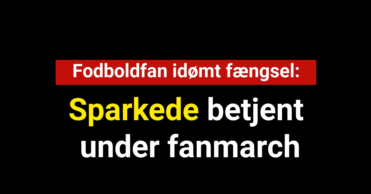 Fodboldfan idømt fængsel: