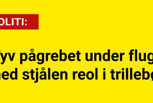 Tyv pågrebet under flugt med stjålen reol i trillebør