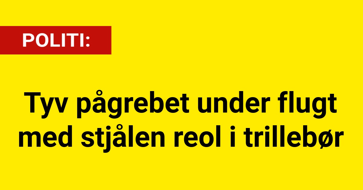 Tyv pågrebet under flugt med stjålen reol i trillebør