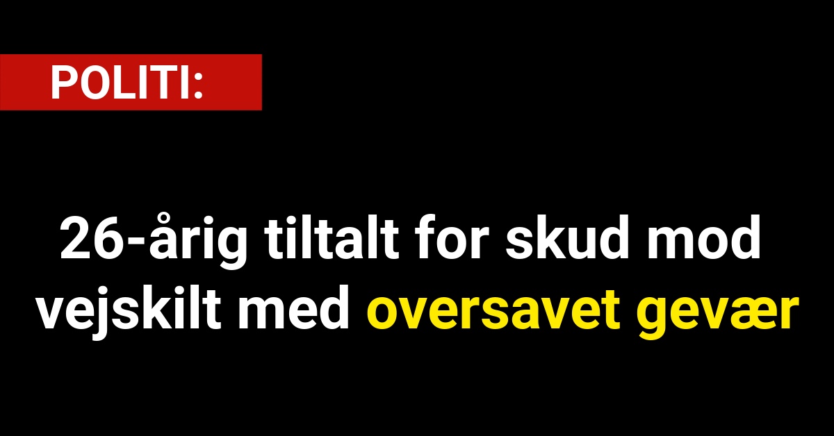 26-årig tiltalt for skud mod vejskilt med oversavet gevær