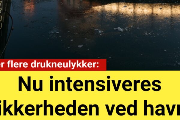 Efter flere drukneulykker: Nu intensiveres sikkerheden ved havn