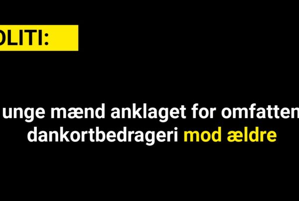 To unge mænd anklaget for omfattende dankortbedrageri mod ældre