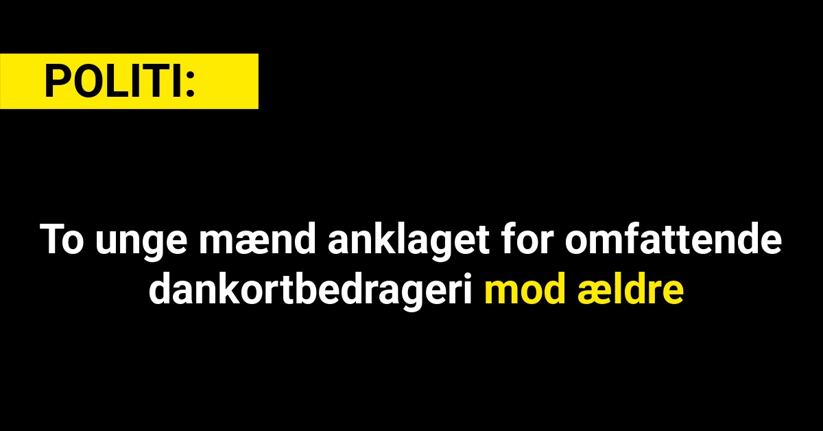 To unge mænd anklaget for omfattende dankortbedrageri mod ældre