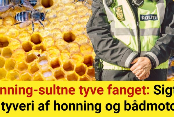 Honning-sultne tyve fanget: Sigtet for tyveri af honning og bådmotorer