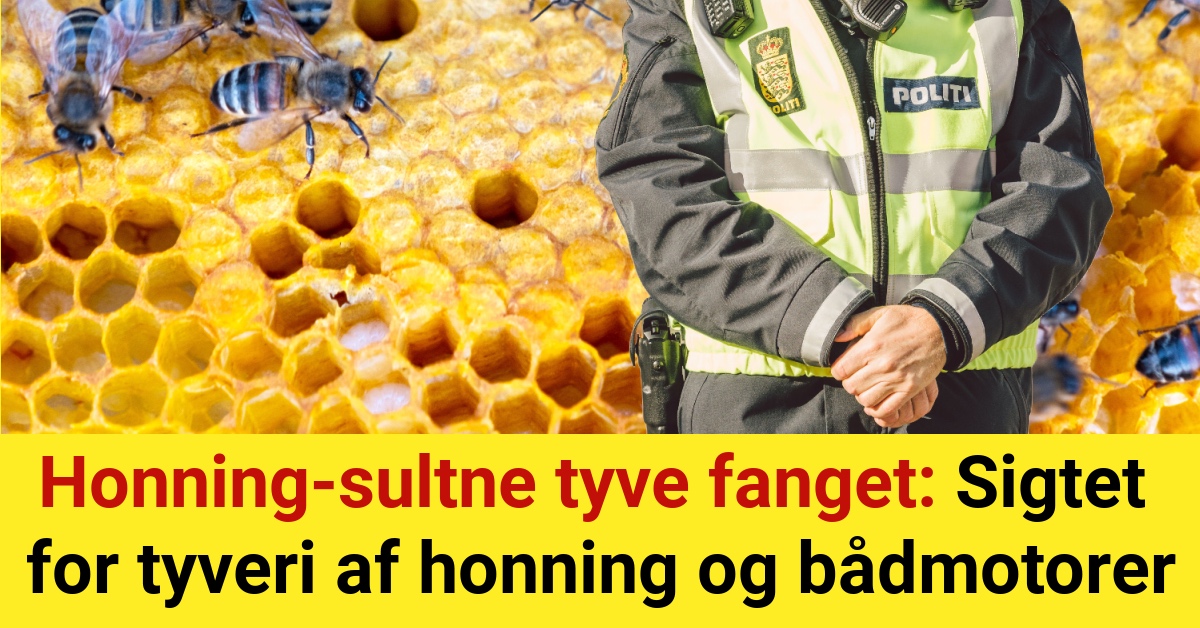 Honning-sultne tyve fanget: Sigtet for tyveri af honning og bådmotorer