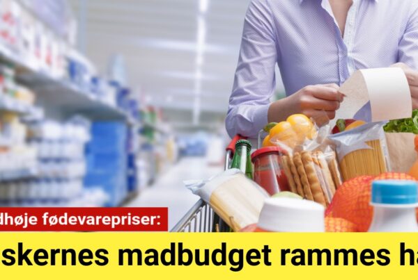 Rekordhøje fødevarepriser: Danskernes madbudget rammes hårdt