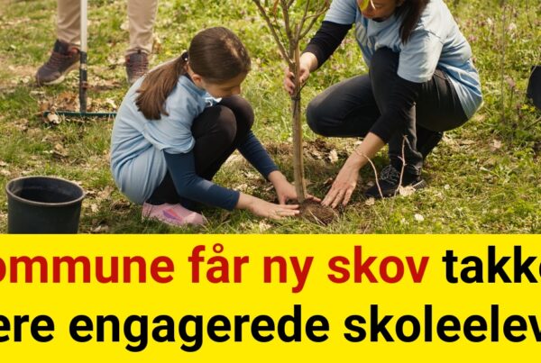 Kommune får ny skov takket være engagerede skoleelever