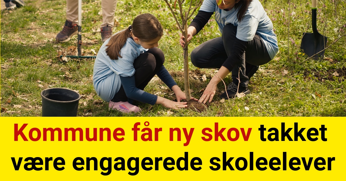 Kommune får ny skov takket være engagerede skoleelever