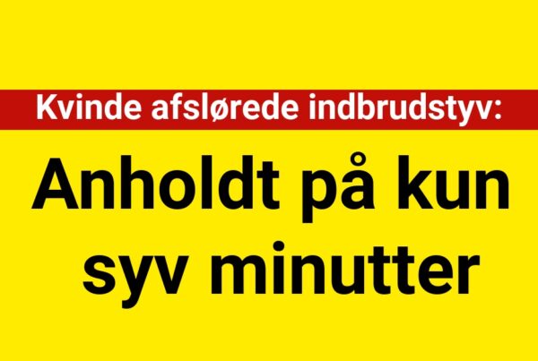 Kvinde afslørede indbrudstyv – Anholdt på kun syv minutter