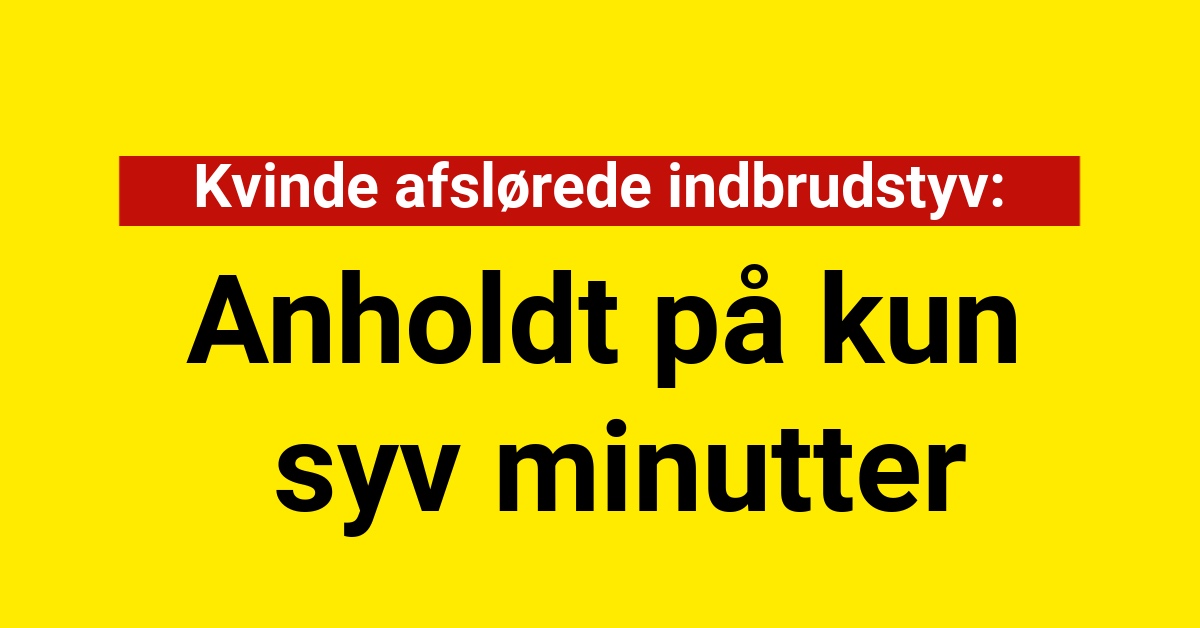 Kvinde afslørede indbrudstyv – Anholdt på kun syv minutter