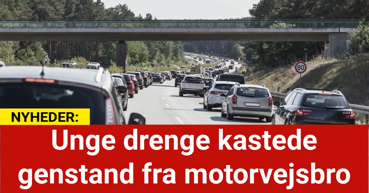 Dramatisk hændelse: Unge drenge kastede genstand fra motorvejsbro