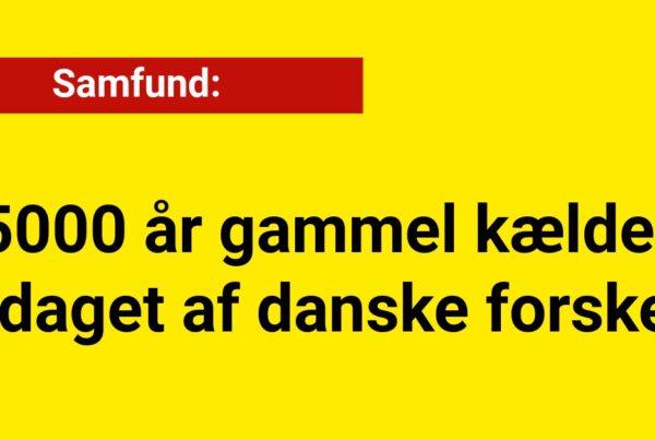 5000 år gammel kælder opdaget af danske forskere