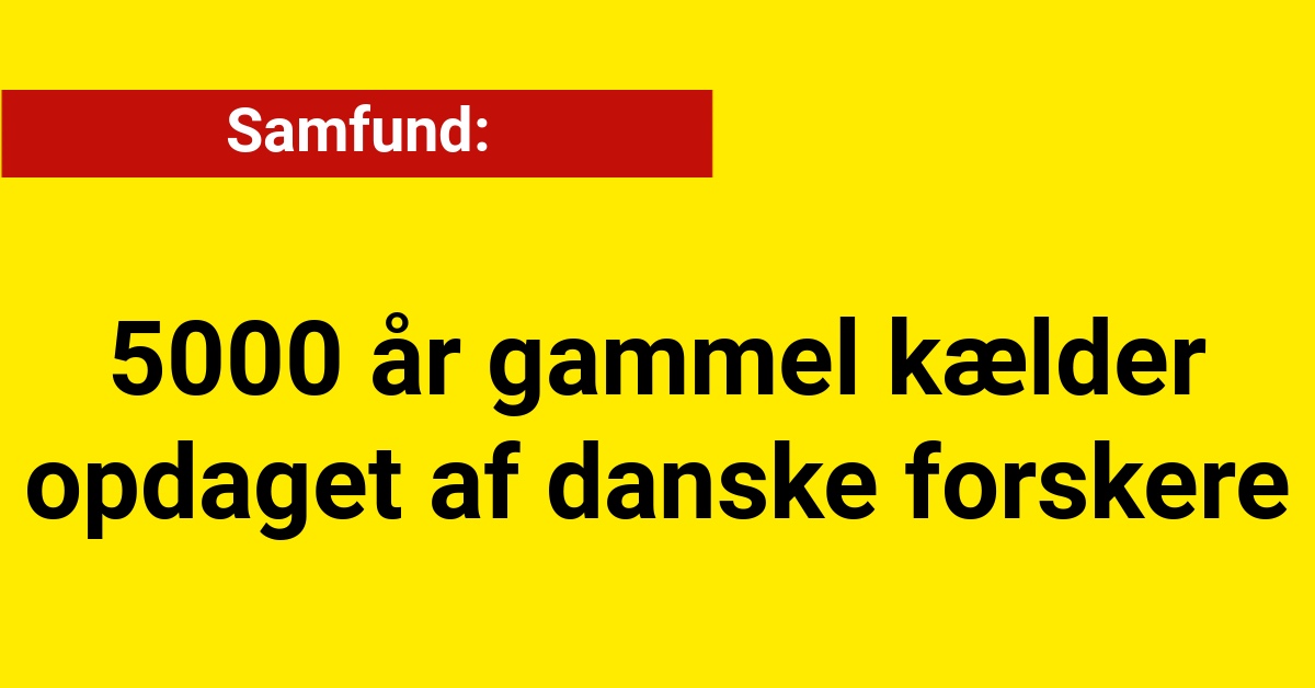 5000 år gammel kælder opdaget af danske forskere