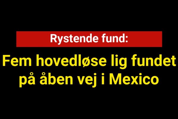 Rystende fund: Fem hovedløse lig fundet på åben vej i Mexico