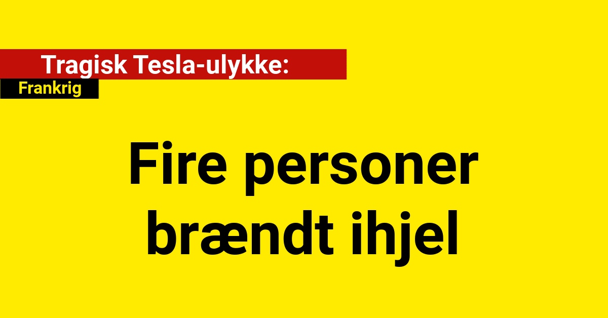 Tragisk Tesla-ulykke: Fire personer brændt ihjel