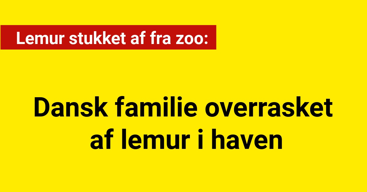 Dansk familie overrasket af lemur i haven